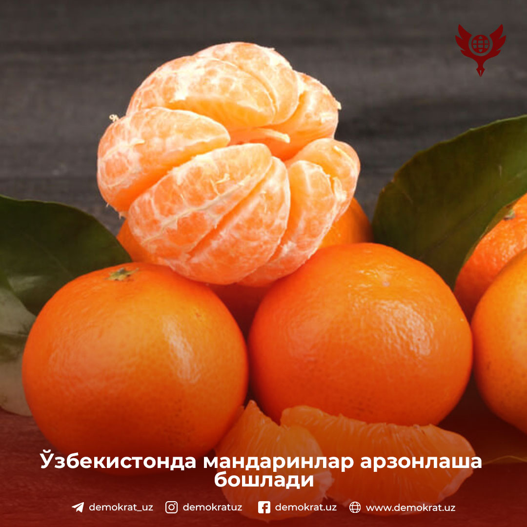 Mandarin. Мандарины Nadarcot. Мандарины без косточек. Мандарины jpeg. Мандариновая Луна.