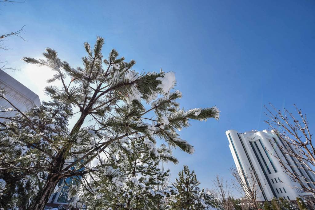 Bugun respublika bo‘ylab qanday ob-havo kuzatiladi?