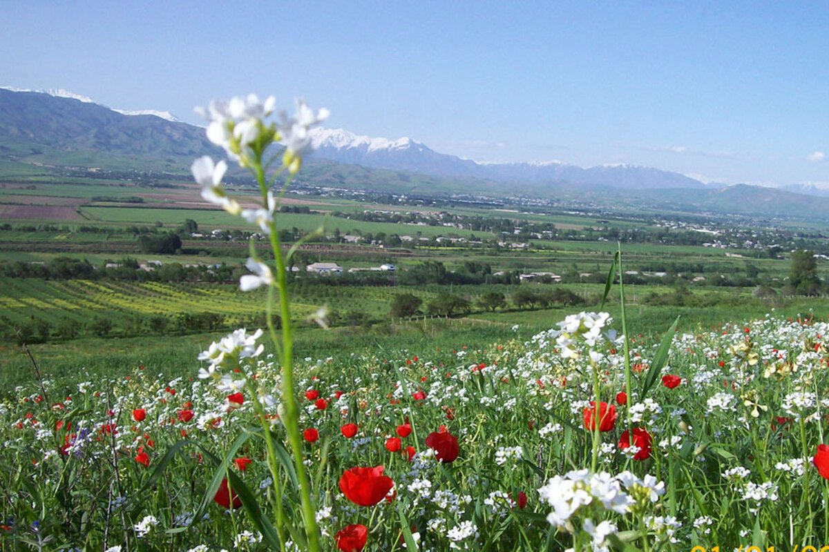 Bugun havo ochiq bo‘ladi