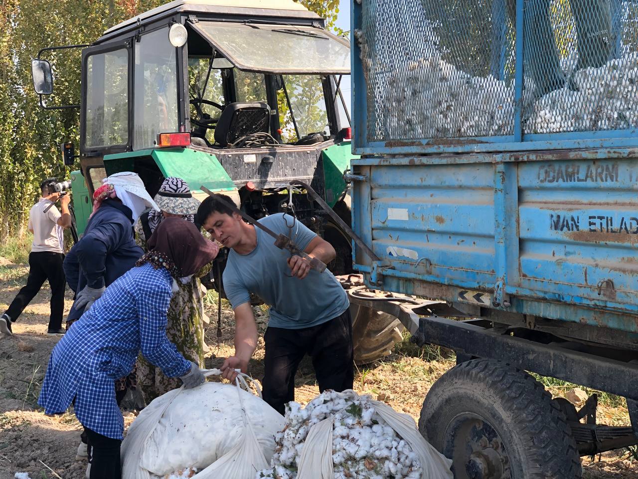 Oqqo‘rg‘on tumanida “Paxta-2024” yig‘im terimi