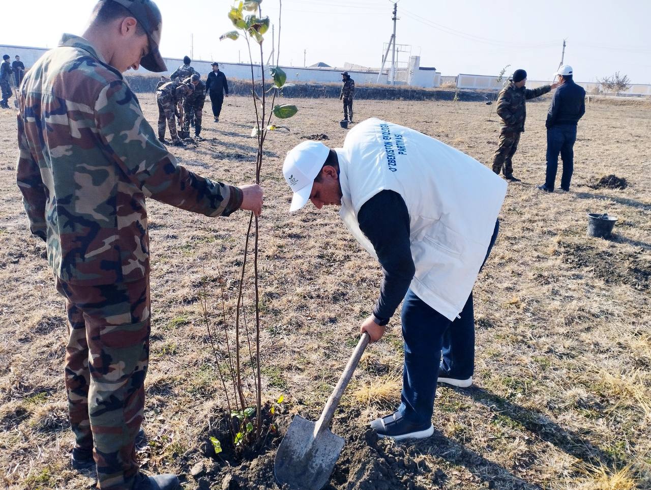 “Yashil makon”: Kogonda 1000 tup daraxt ko‘chatlari ekildi