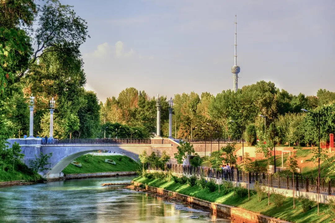 Toshkentda havoni ifloslantiruvchi manbalar bartaraf etilmoqda