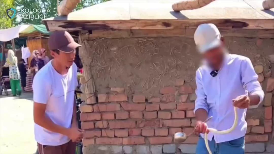 &laquo;Tipratikan va ilonli sho‘rva&raquo;: hujjatlar sud organlariga yuborildi