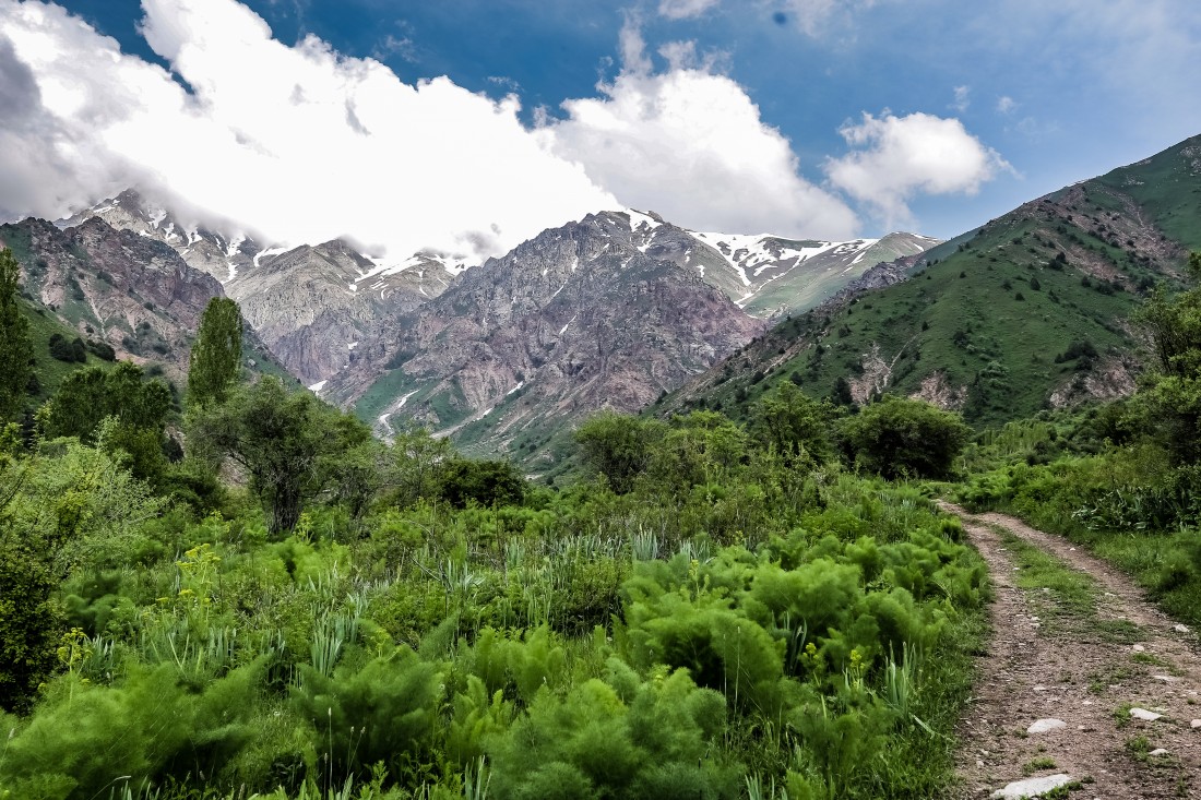 Yomg‘ir tog‘larda qorga aylanadi