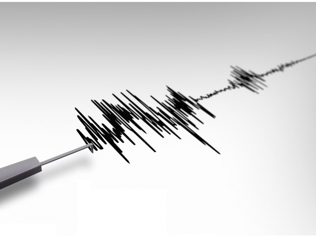 Qirg‘izistondagi kuchli zilzila O‘zbekistonda sezildi