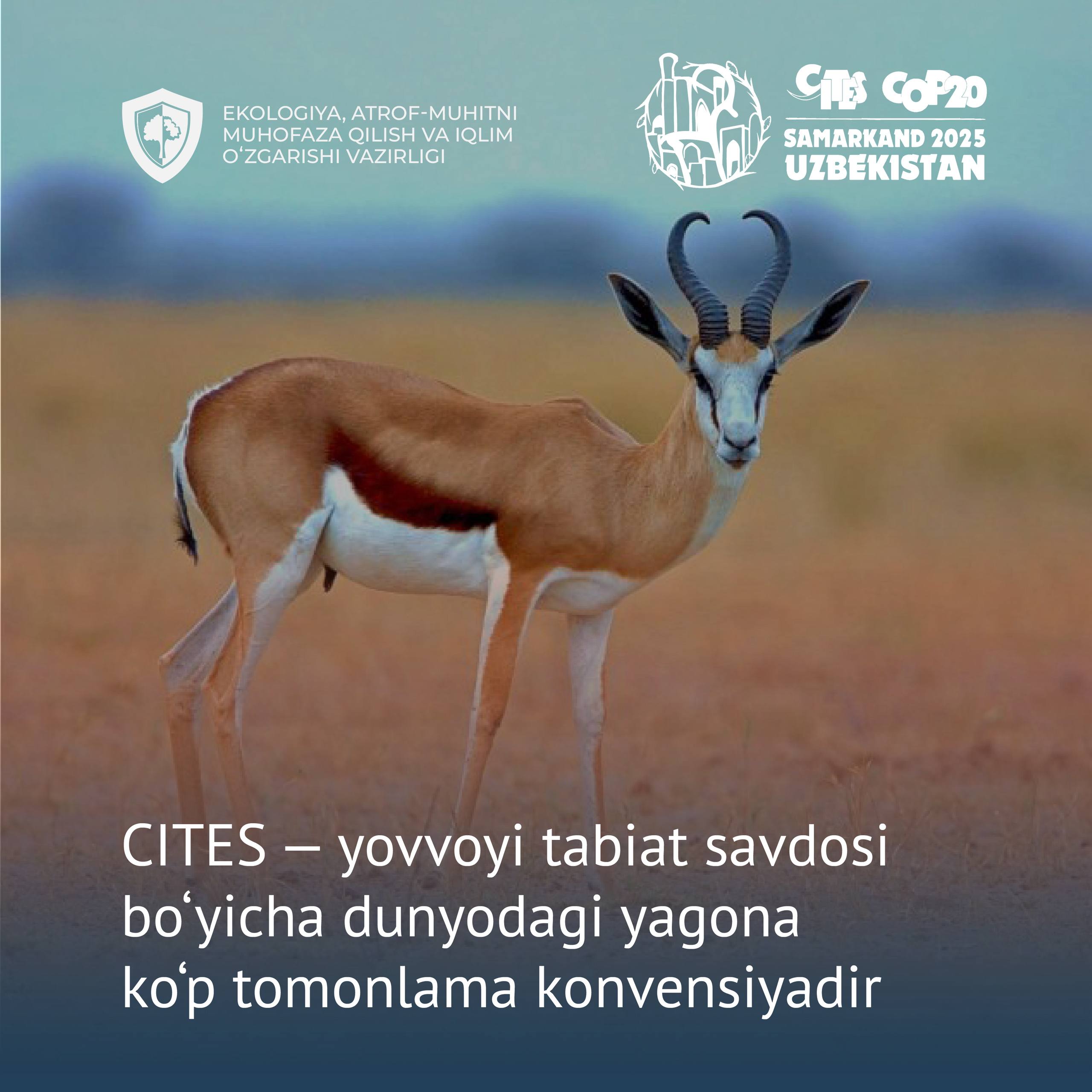 CITES konvensiyasining 50 yilligi ilk bor Markaziy Osiyoda nishonlanadi