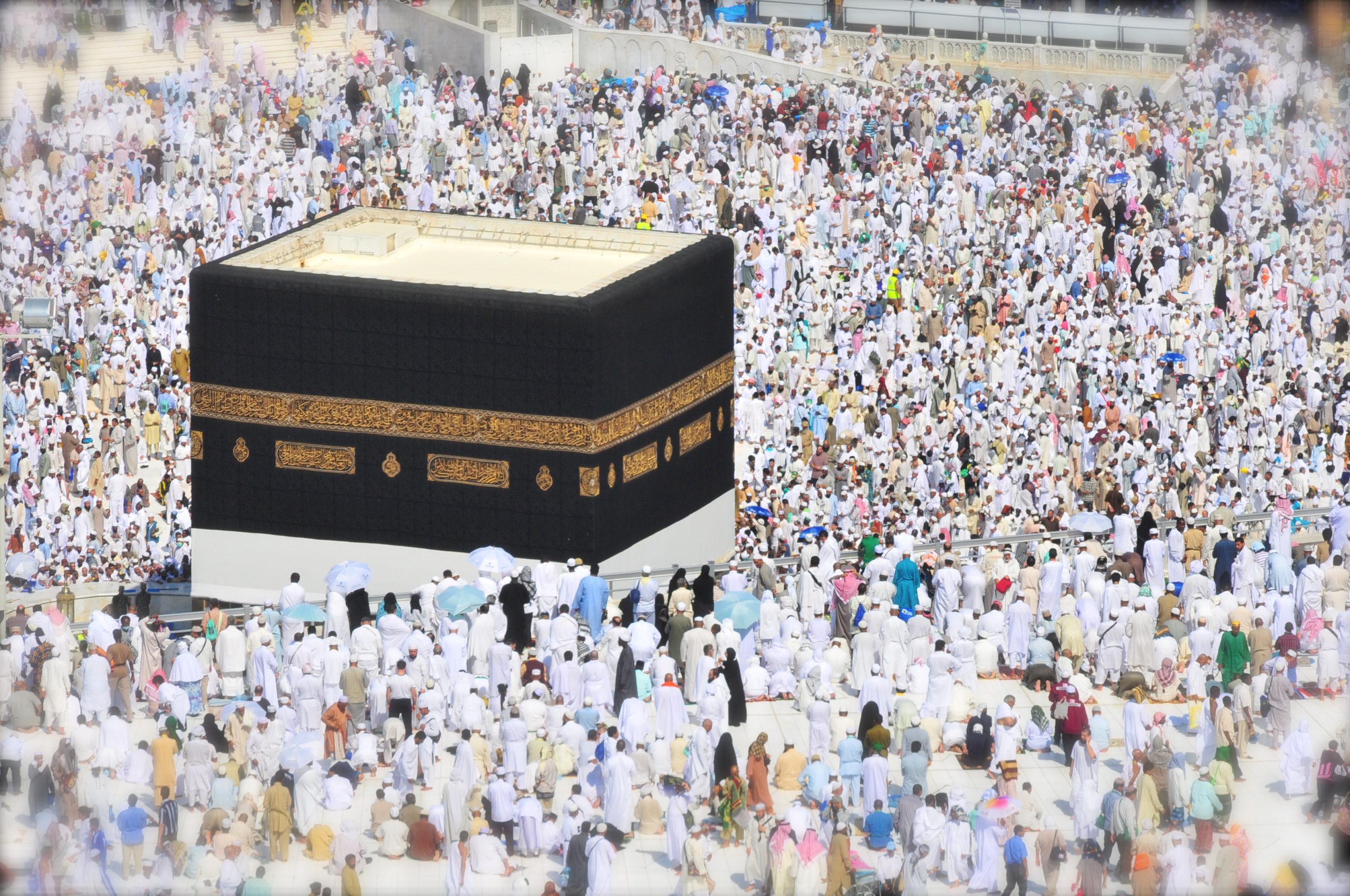 “Haj va Umra yagona portali” ishga tushirildi