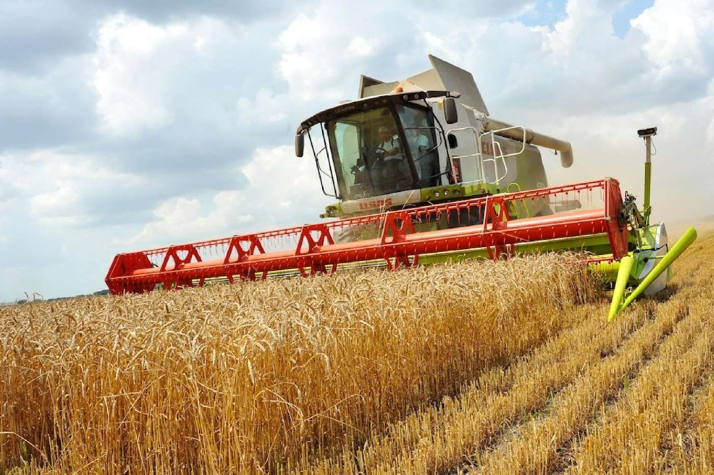 2026-yildan O‘zbekistonda hosilni ixtiyoriy sug‘urtalash tizimi joriy etiladi