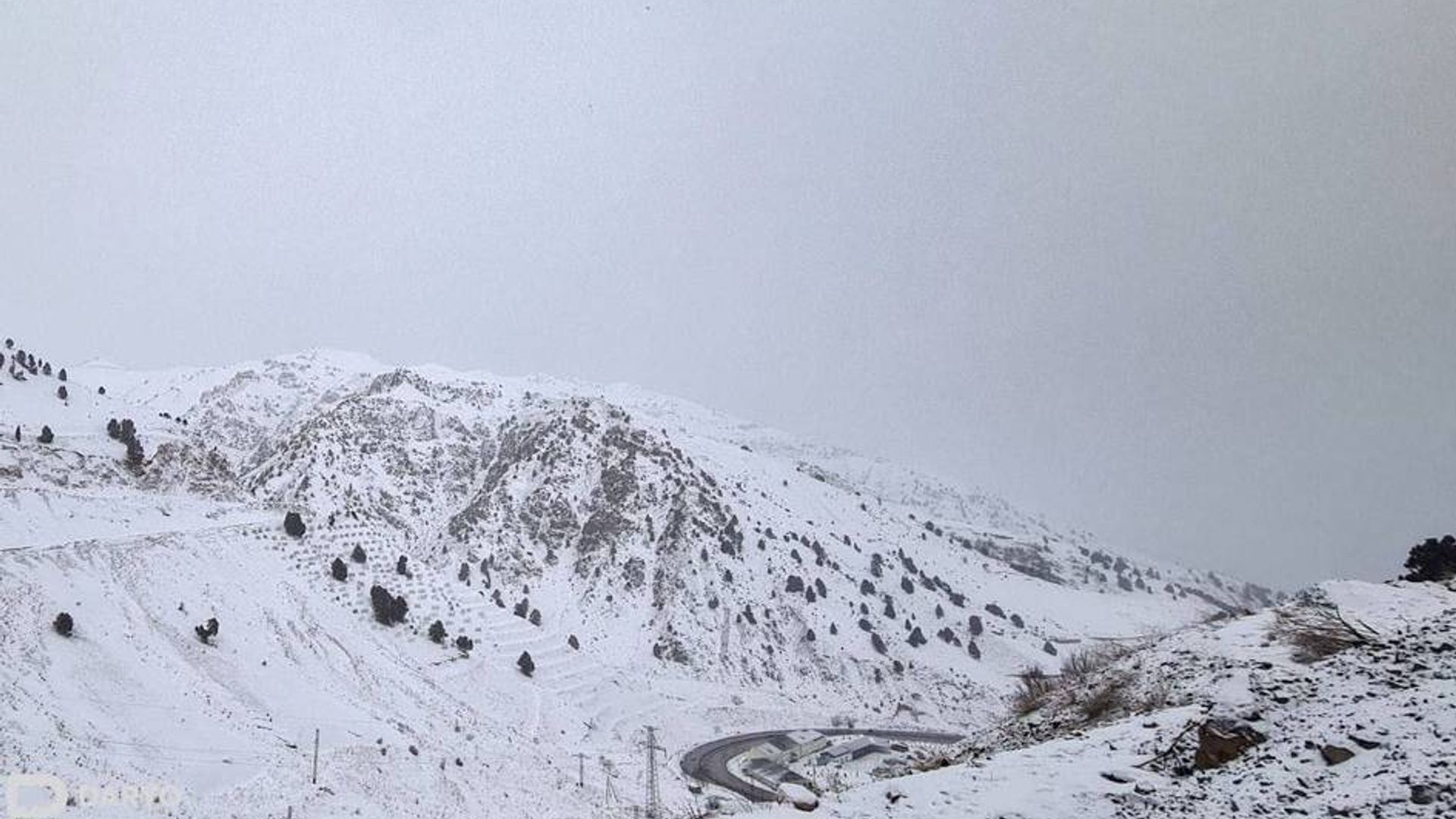 Qamchiq dovonida kuchli qor yog‘ishi sababli harakat vaqtincha to‘xtatildi