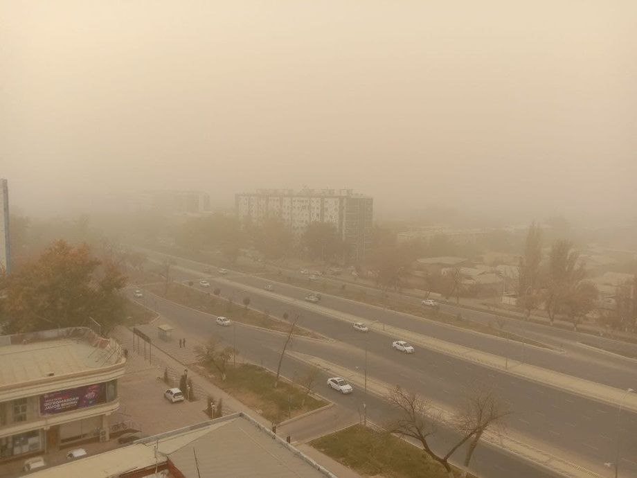 O‘zbekistonda havo tozaligi uchun ajratiladigan mablag‘ miqdori ma’lum qilindi