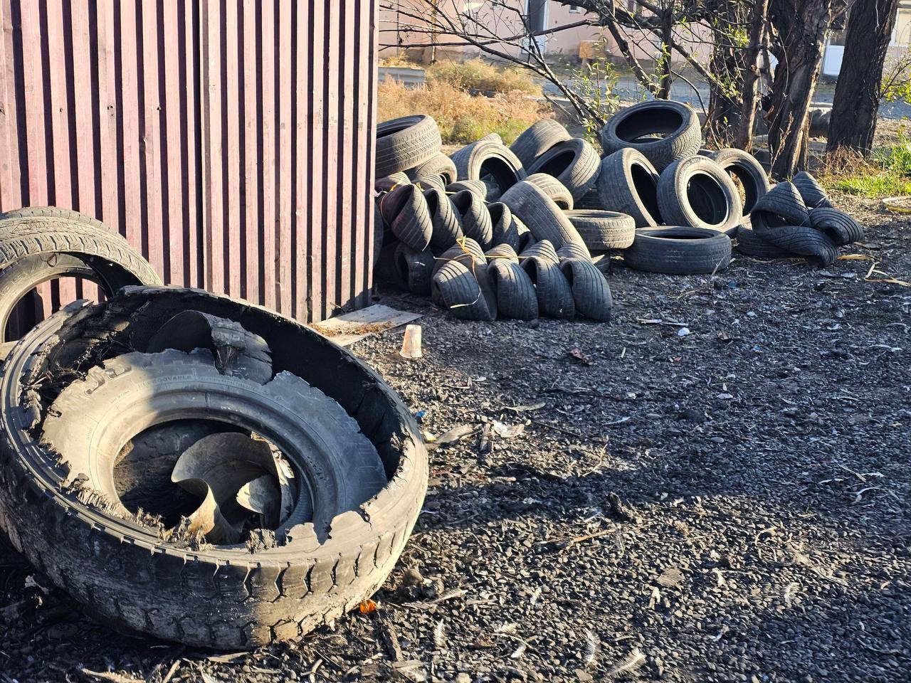 Samarqandda havoni ifloslantirgan cho‘chqa boqish faoliyatiga chora ko‘riladi