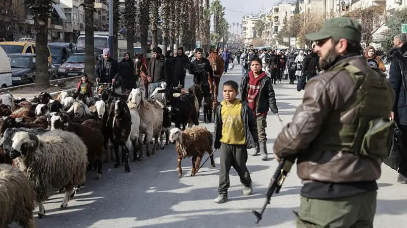 Suriyaning Halabida yana janglar boshlandi